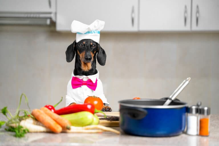 Can Dachshunds Eat Vegetables?
