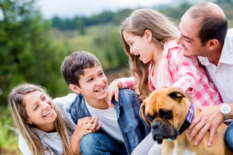 Are Boxer Dogs Good Family Dogs?