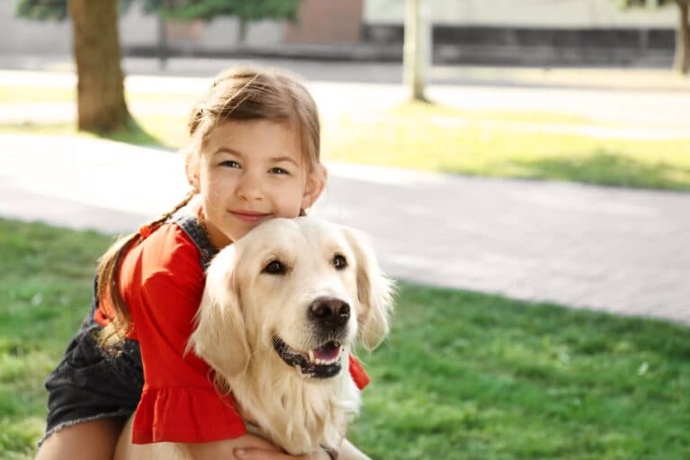 Is Golden Retriever A Lucky Dog?