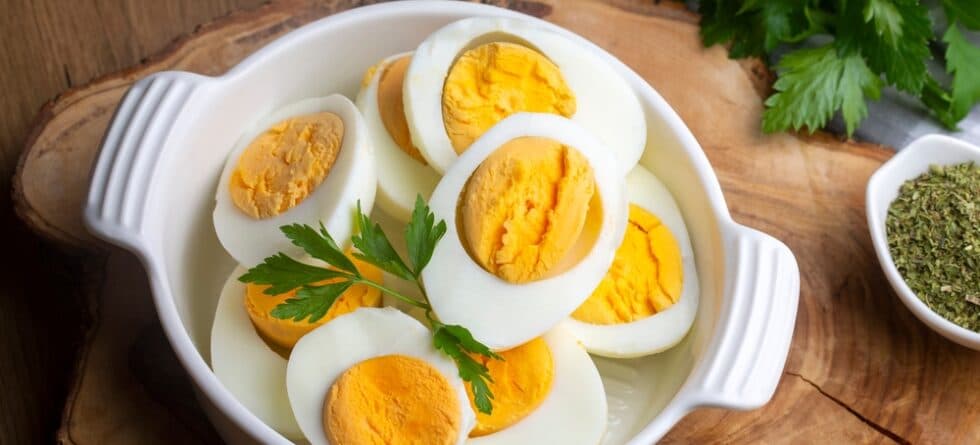Do Dachshunds Eat Eggs?