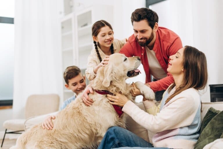 What Do Labs Love The Most?