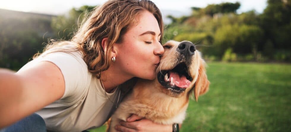 Where Do Dogs Like To Be Kissed?
