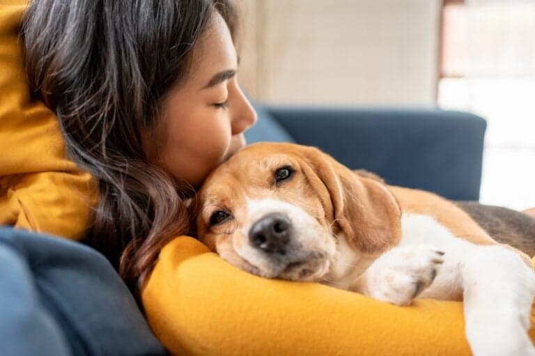 How To Calm A High Anxiety Dog?
