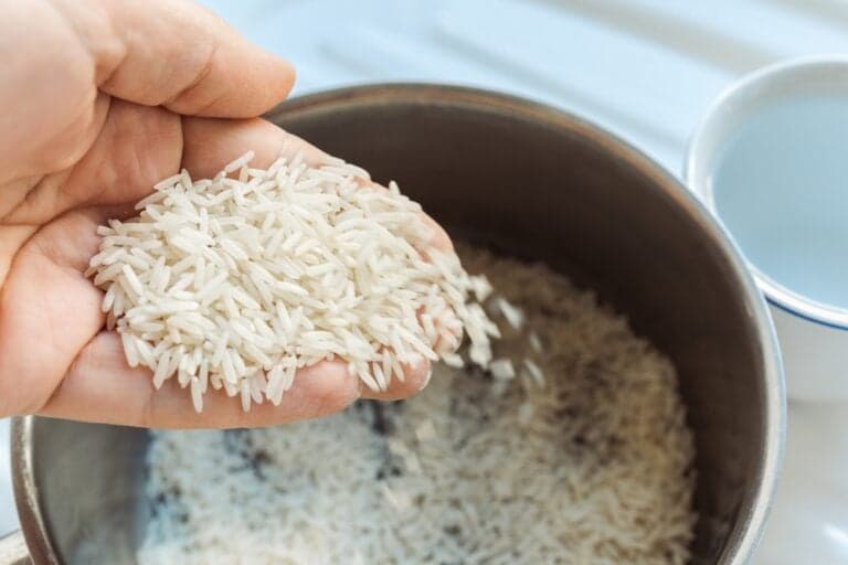 Is Rice Good For Dogs?
