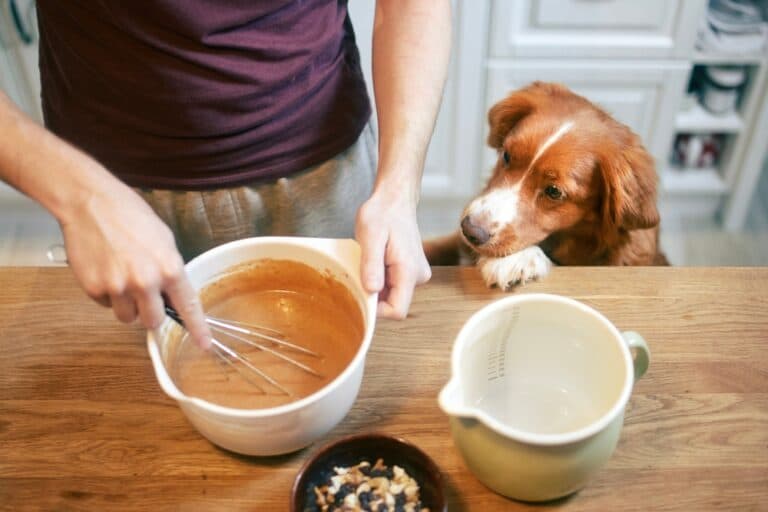 What Can I Cook For My Dog?