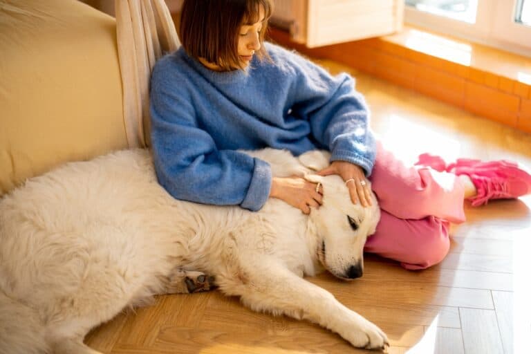 What Is The Golden Rule For Dogs?