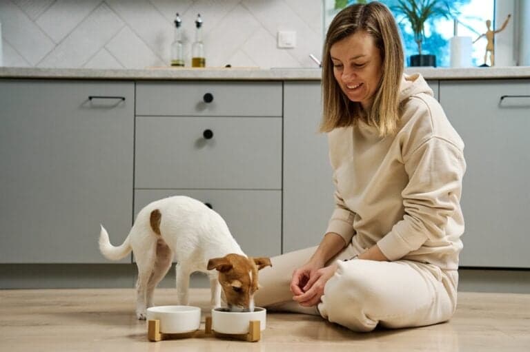 What Is The Main Food Of A Dog?