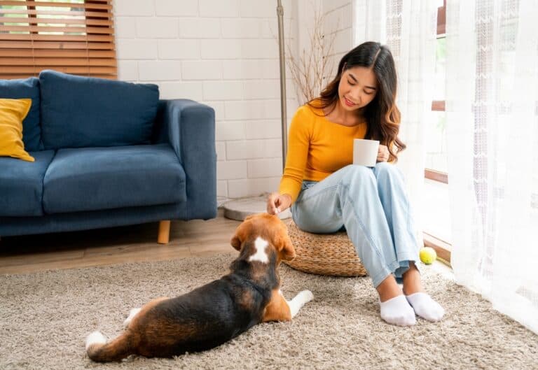 Are Beagles Good Family Dogs?