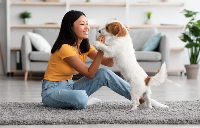 Where Not To Pet A Dog?