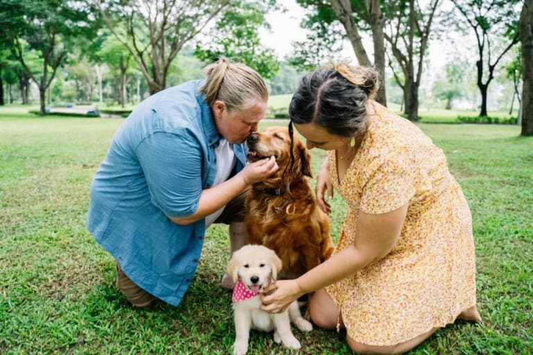 Is 12 Weeks Too Old To Get A Puppy?