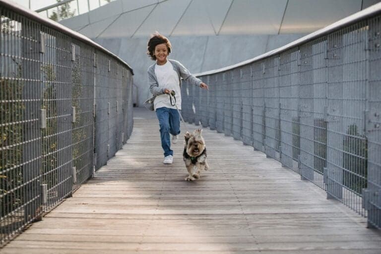 What Is The 10 Minute Rule For Puppies?