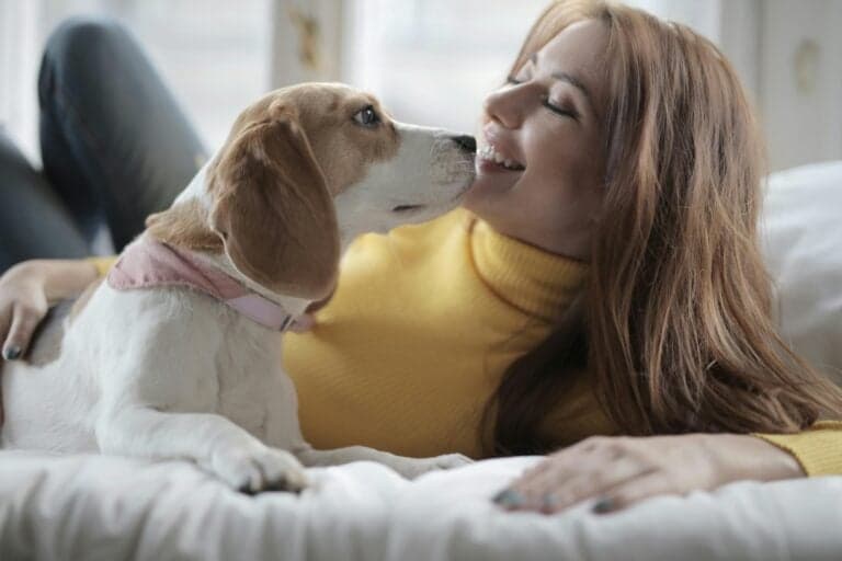 Do Dogs Pick A Favorite Person?