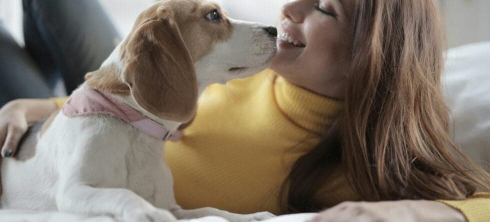 Do Dogs Pick A Favorite Person?