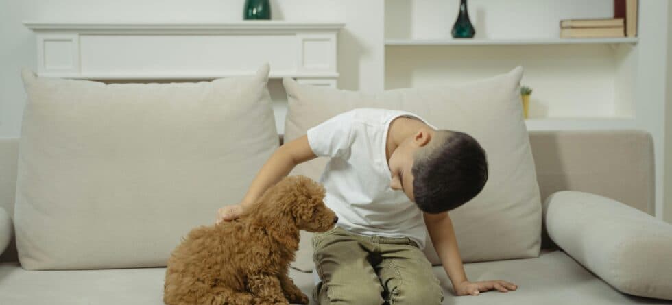 How Should I Pick Up A Puppy?