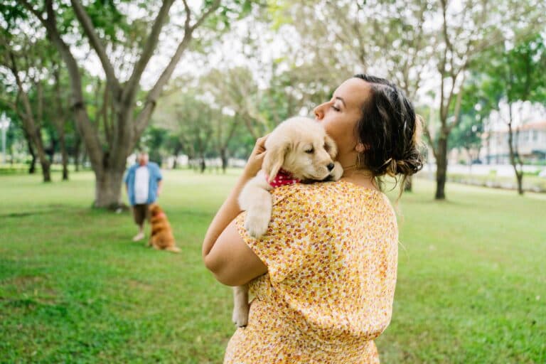How To Tell If A Puppy Breeder Is Legit?