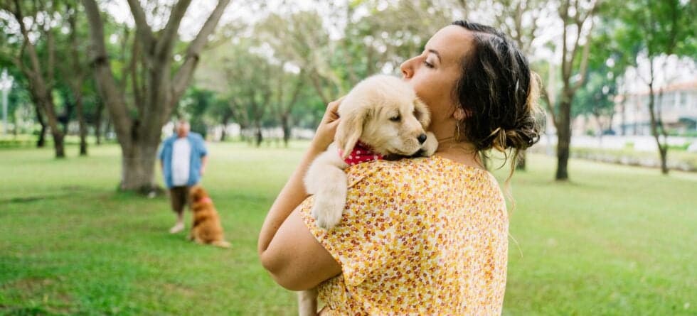 How To Tell If A Puppy Breeder Is Legit?