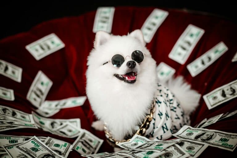 Is There An Ethical Way To Buy A Puppy?