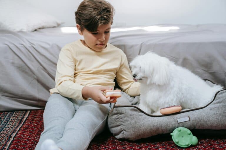 Where Should Puppies Sleep At Night?