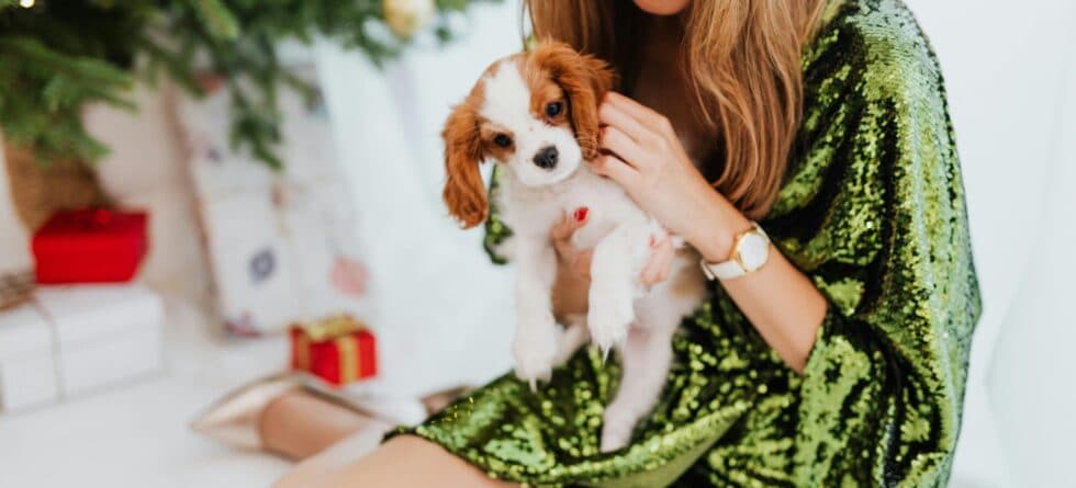 At What Age Should You Buy A Puppy?
