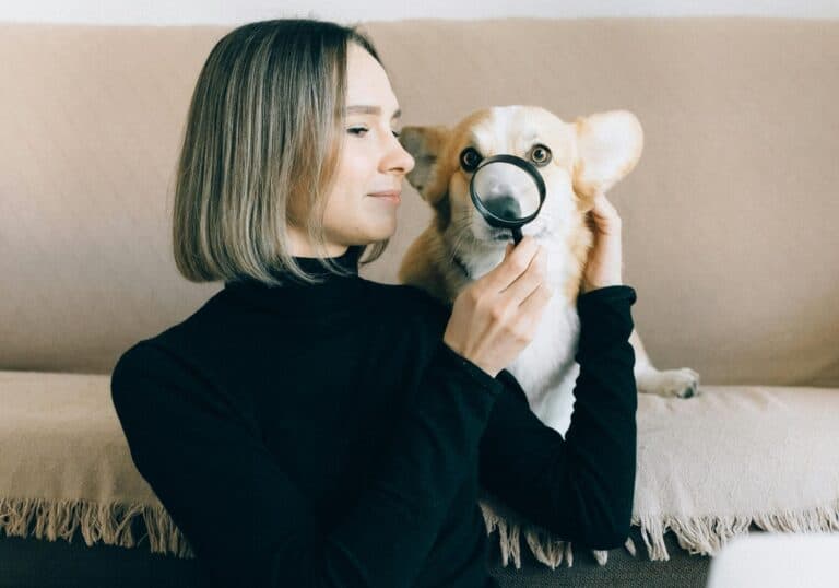 How Do You Know If A Puppy Is Legit?