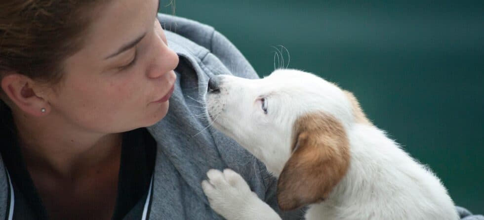 How To Tell If A Breeder Is Legit?