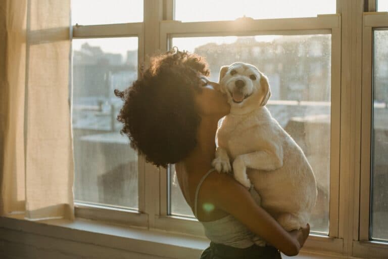 How To Tell If A Puppy Will Be A Calm Dog?