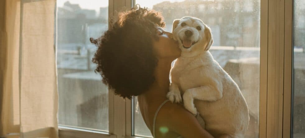 How To Tell If A Puppy Will Be A Calm Dog?