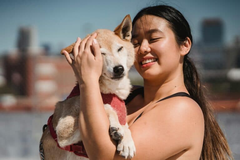 Should You Meet A Puppy Before Buying?