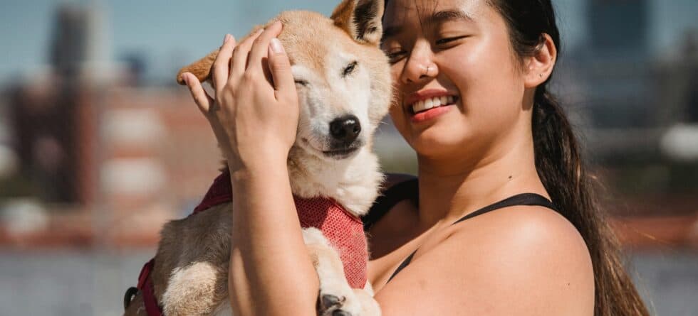 Should You Meet A Puppy Before Buying?