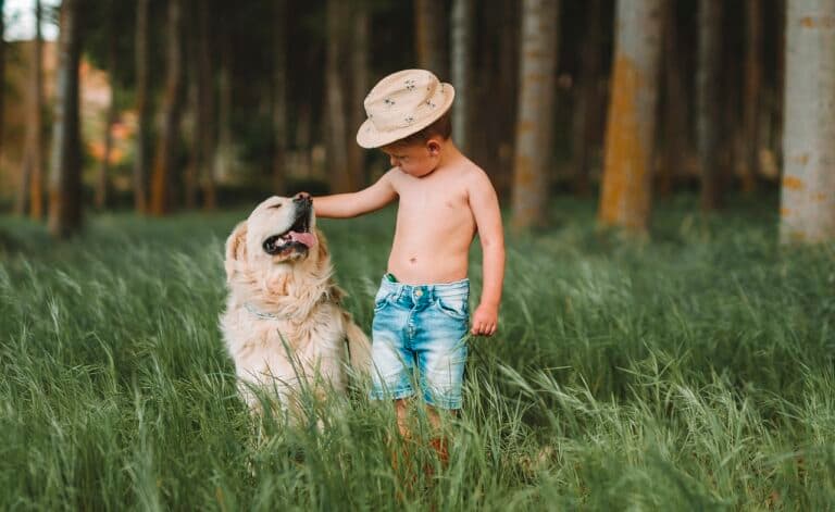 What Is The Safest Way To Pay For A Puppy?