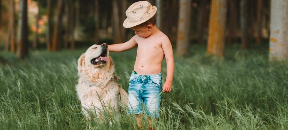 What Is The Safest Way To Pay For A Puppy?