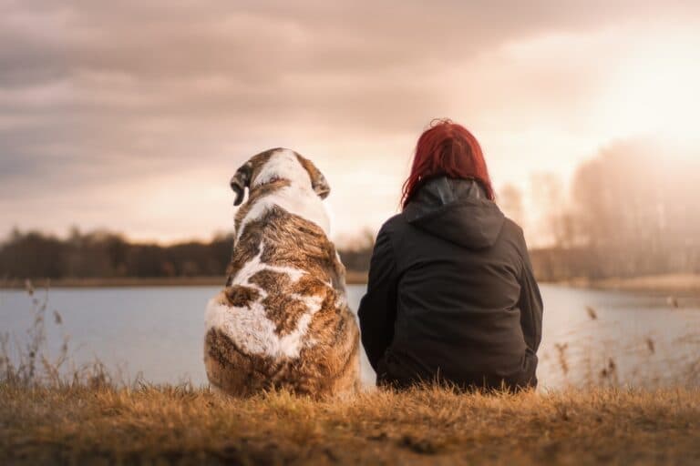 At What Age Is It Best To Get A Puppy?