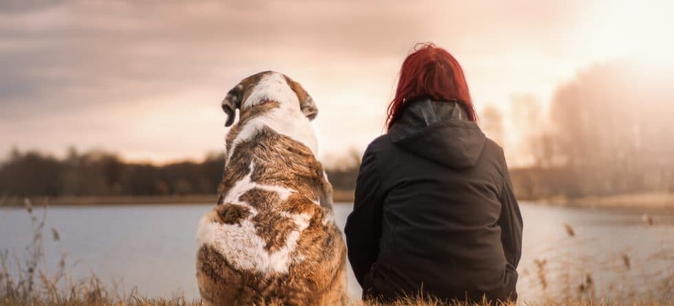 At What Age Is It Best To Get A Puppy?