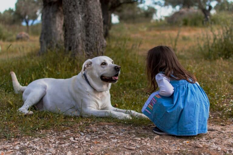 Should I Carry My Puppy Out To Pee?