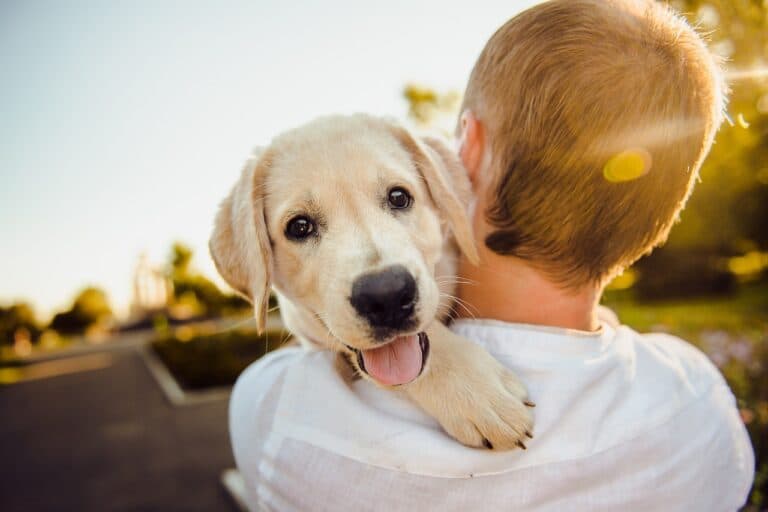 What Is The Best First Time Puppy?