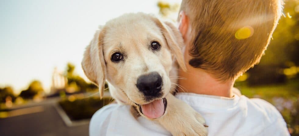 What Is The Best First Time Puppy?