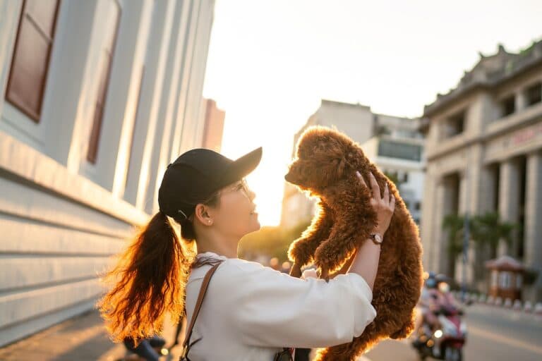What Is The Safest Way To Get A Puppy?
