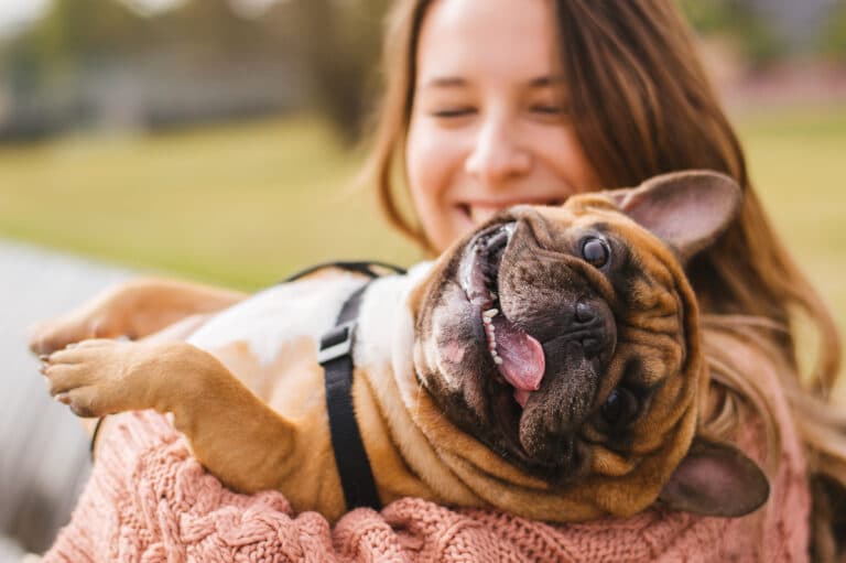 What Are The Most Effective Methods For Finding A Puppy?