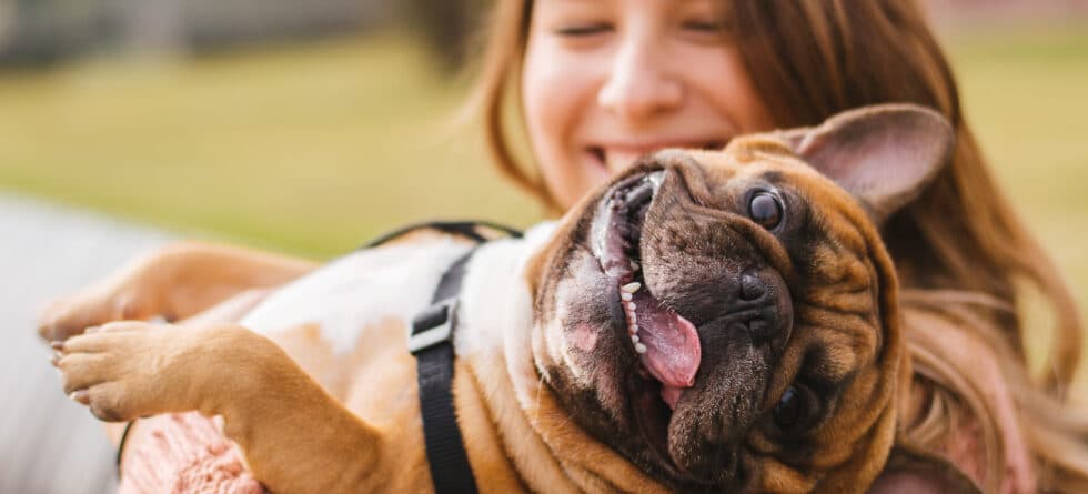 What Are The Most Effective Methods For Finding A Puppy?