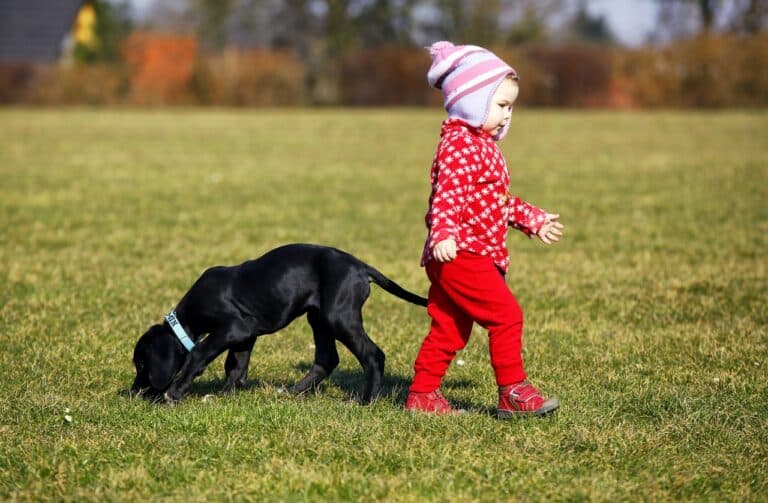 What Not To Do Around A Puppy?