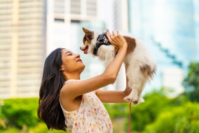What Should You Be Careful Of When Purchasing A Puppy?