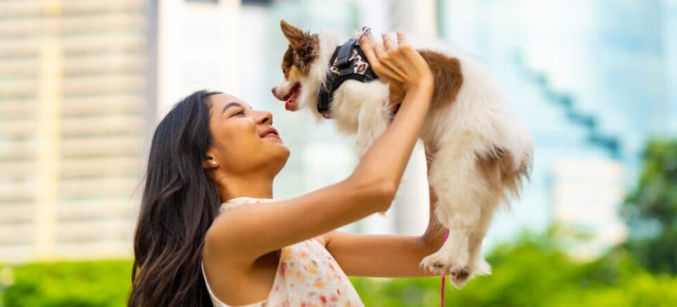 What Should You Be Careful Of When Purchasing A Puppy?