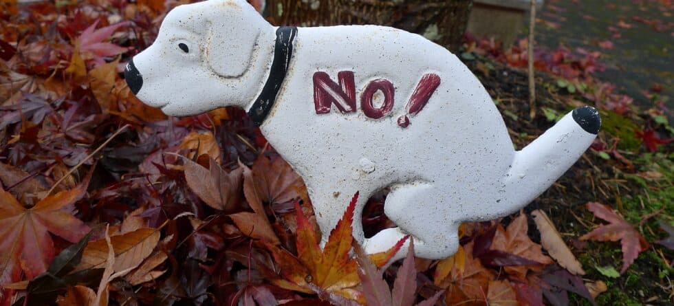 What States Have Banned Puppy Mills?