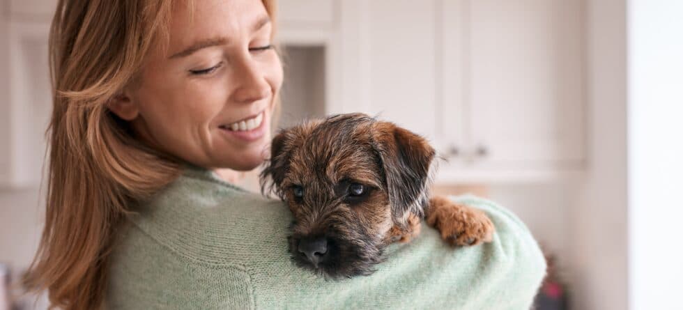 What Things People Don’t Often Mention About Getting A Puppy?