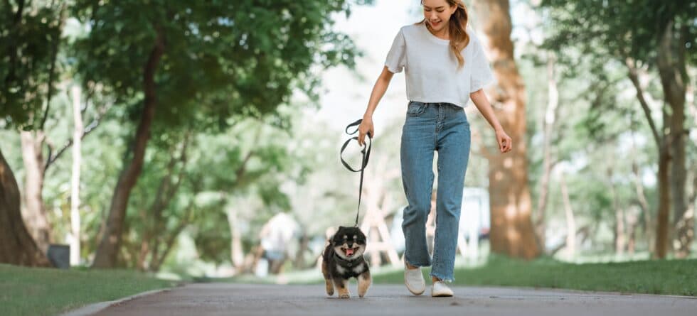 What Places Aren’t Suitable For Taking A Young Puppy?