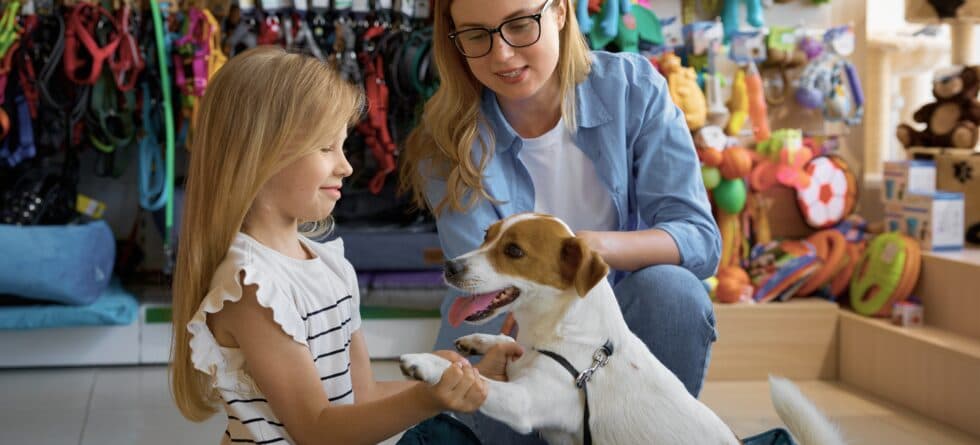 How Can You Ensure You’re Not Scammed When Buying A Puppy?