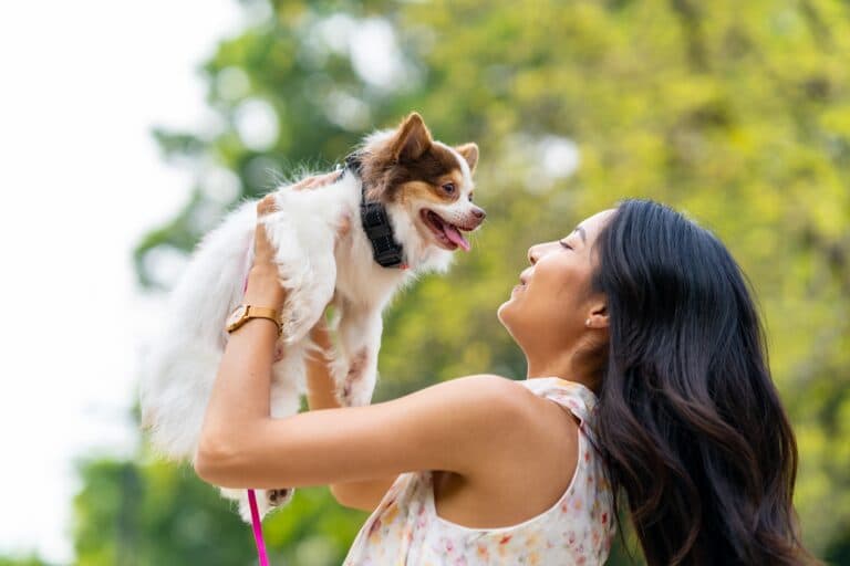 Is Meeting A Puppy Before Buying Recommended?