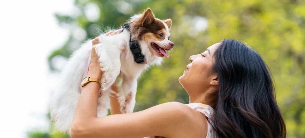 Is Meeting A Puppy Before Buying Recommended?