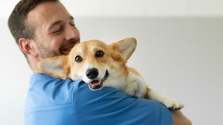 What’s The Correct Way To Pick Up A Puppy?