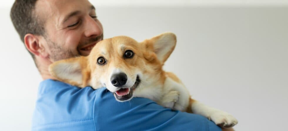 What’s The Correct Way To Pick Up A Puppy?